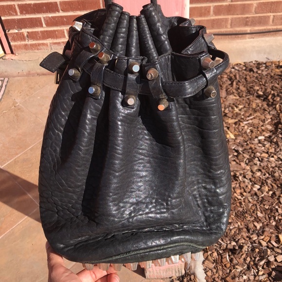 Alexander Wang Handbags - ✨Alexander Wang✨ Diego Bucket Black Purse Studs